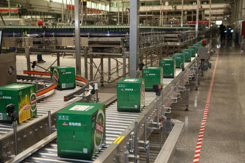 釀啤酒也 造 清水,百年青啤有顆 綠心臟